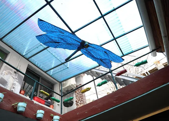 بيت شباب Hoja